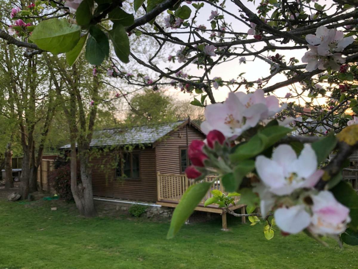 Cosy Dog Friendly Lodge With An Outdoor Bath On The Isle Of Wight Whitwell  Kültér fotó